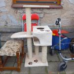 Kočičí škrabadlo                        