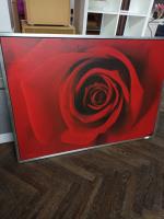 Velký obraz IKEA růže                   